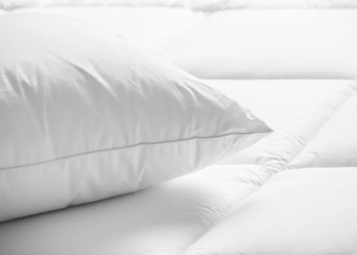 Embassy East And Riverfront Conference Center 4* Peoria